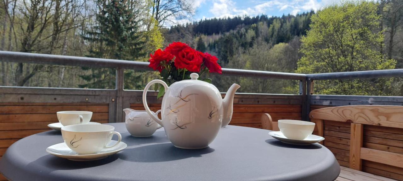 Gaestehaus Hirschstein - Hochwertige Ferienwohnung In Sehr Ruhiger Lage Direkt Am Fluss Goeltzsch Reichenbach im Vogtland Exterior photo